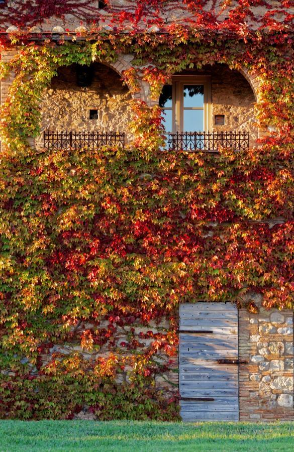 비보나 Relais Sant'Elena B&B 외부 사진