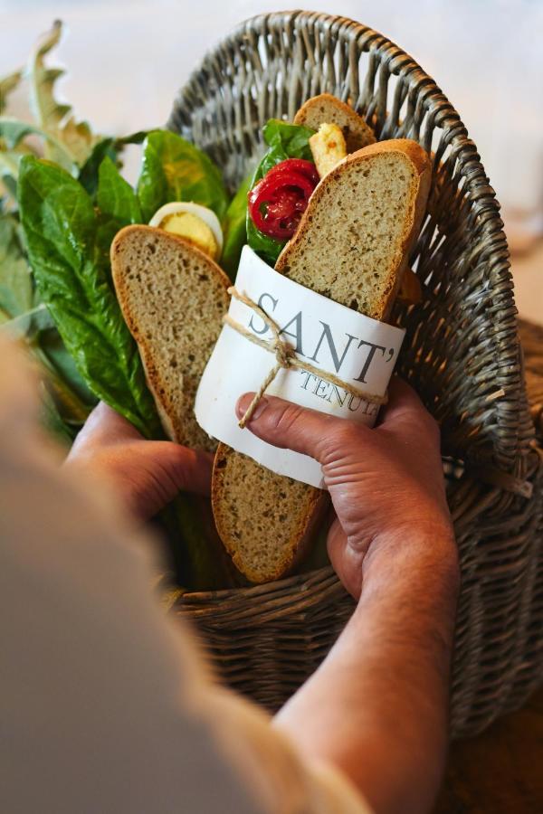 비보나 Relais Sant'Elena B&B 외부 사진