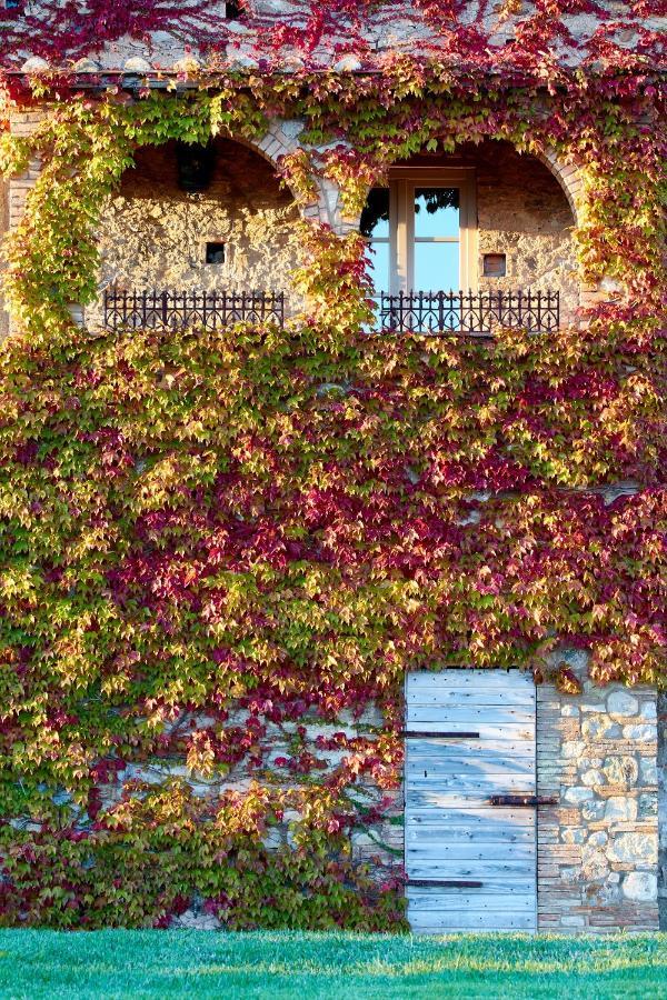 비보나 Relais Sant'Elena B&B 외부 사진